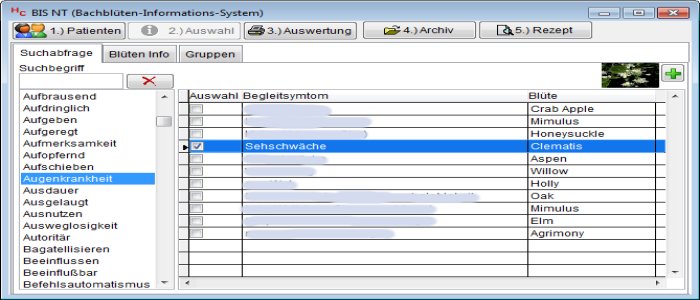 flexible Abfragen - schnelle Anzeige
